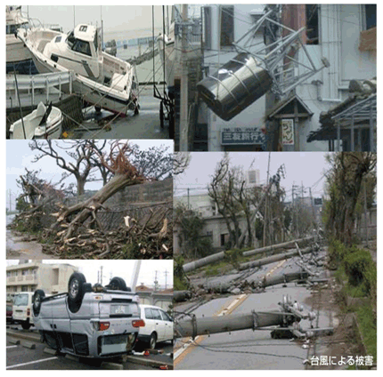 倒れた木や電柱やひっくり返った車