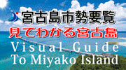 宮古島市勢要覧～見てわかる宮古島～